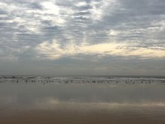 -日照海滨国家森林公园