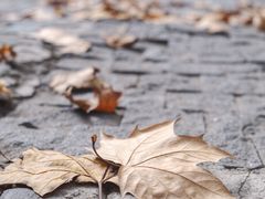 -乌鲁木齐路老洋房