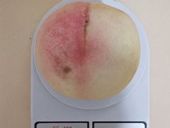 -老袁家蜜桃农场·阳山水蜜桃