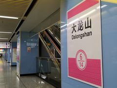 -大龙山(地铁站)