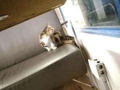 -同济大学本部学苑饮食广场