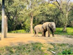 -北京野生动物园