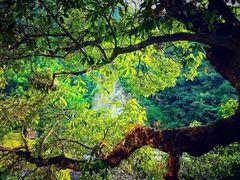 -楠溪江风景名胜区