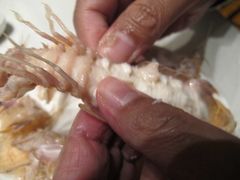 -骏莱海鲜鱼港(五角场店)