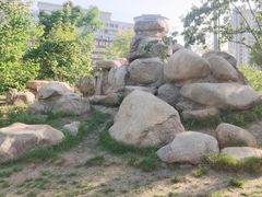 -莲花池公园