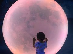 -天津梵高星空艺术馆(天河城旗舰店)