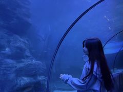 -左海海底世界