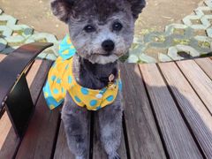 -爱侣宠医·鹦鹉专科·小型哺乳类·异宠专科(灵石路店)