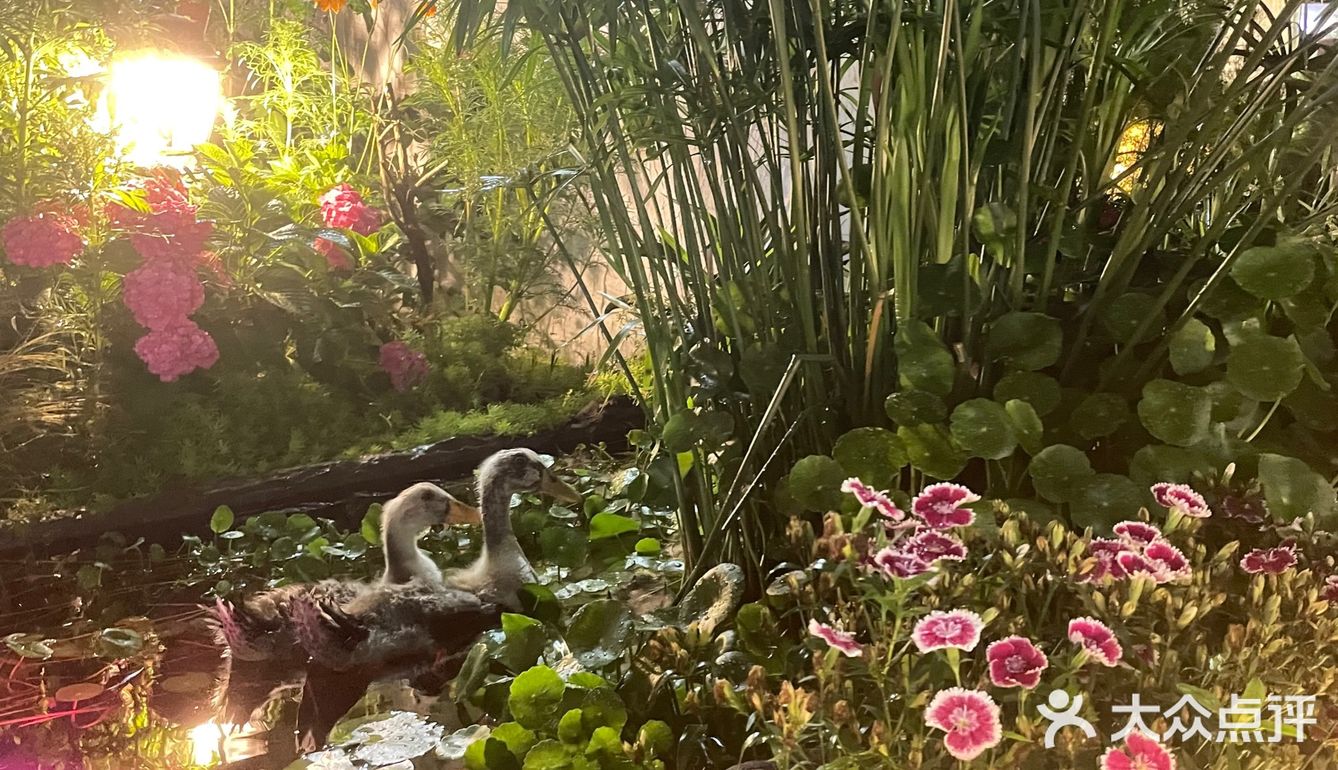 顶楼的花园餐厅，景观布置超级棒