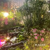 顶楼的花园餐厅，景观布置超级棒