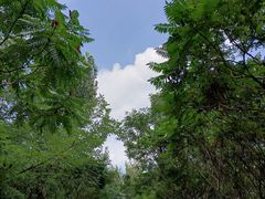 -塘沽森林公园