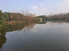 -成都南湖公园