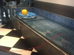 -Oh My Dog宠物沙龙(伊珊娜皮毛护理店)