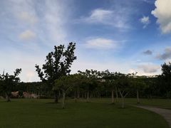 -美国纪念公园