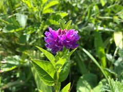 -白草畔自然风景区