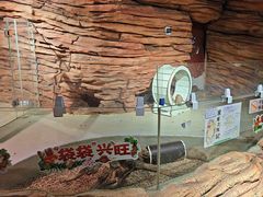 -正佳雨林生态植物园