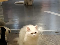 -小时光咖啡馆(开森度假森林店)