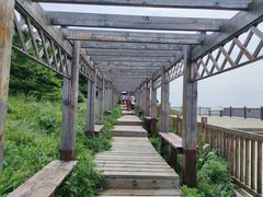 -白草畔自然风景区