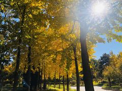 -中家鑫园温泉酒店鑫悦汤泉