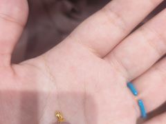-十八字金·银饰·拼豆·开蚌DIY(魏公芳华里店)