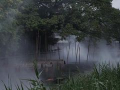 -东涌水乡风情街