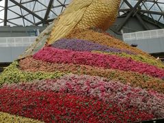 -花之城