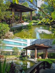 -广州和睦家医院·医学月子
