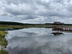 -塞罕坝国家级自然保护区