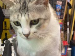 -谜盒子奇幻密室(南屏店)