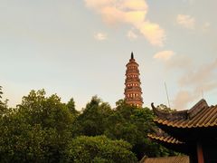 -顺峰山公园