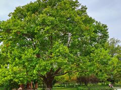 -今鲜源大酒店·中华餐饮名店(新湛路店)