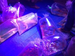 -中环花鸟鱼虫市场