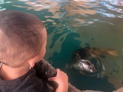 -华夏文旅海洋公园