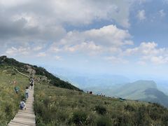 -白草畔自然风景区