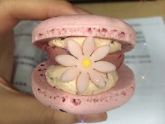 -好利来(温江新尚天地店)