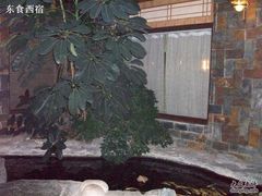 Picture 108-绿色时代大酒店