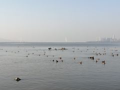 -深圳湾公园(南山区)