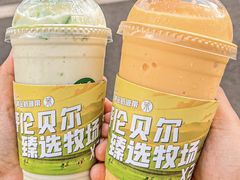 -茉酸奶(春熙路店)