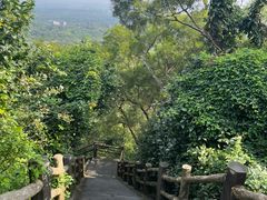 -海口火山口国家地质公园
