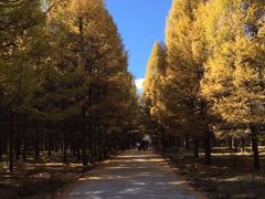 -塞罕坝国家级自然保护区