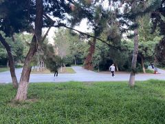 -万泉公园