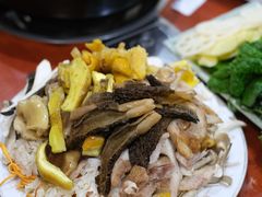 -菌之家·专业纯野生菌火锅·特色炒菌