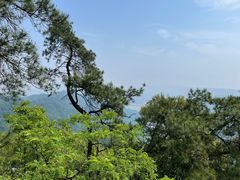 -大金鹰园