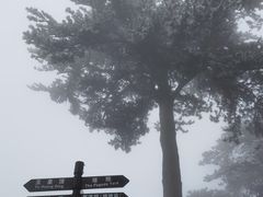 -妙峰山风景名胜区