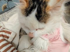 -美联众合动物医院·24h京西诊疗中心