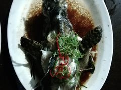 -海盗餐厅