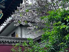 -西安市广仁寺