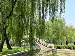 -达活泉公园