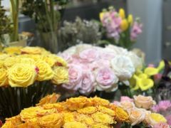 -植物学家的女儿(北马道巷店)