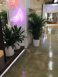 -P.STYLE派斯造型